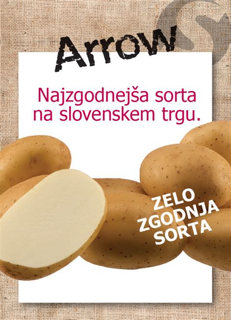 Infografika: Prednosti sorte krompirja Arrow (visok pridelek, odpornost, skladiščenje)
