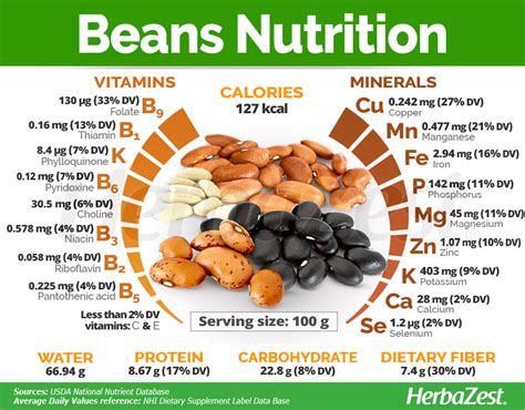 Infographic on the nutritional value of beans