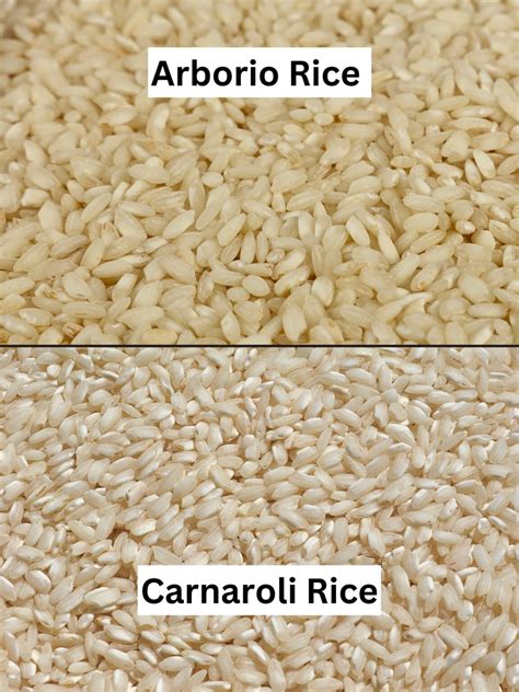 Photo showing Carnaroli and Arborio rice grains