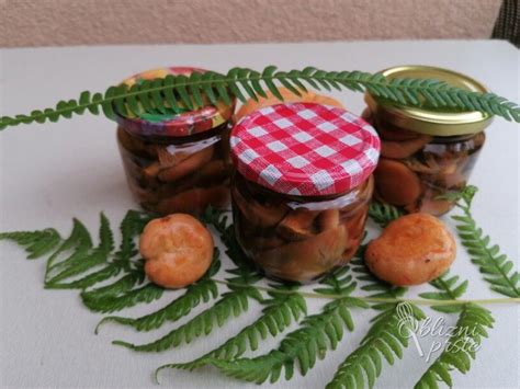 Primerjava vloženega fižola v slanici in vloženega v kisu