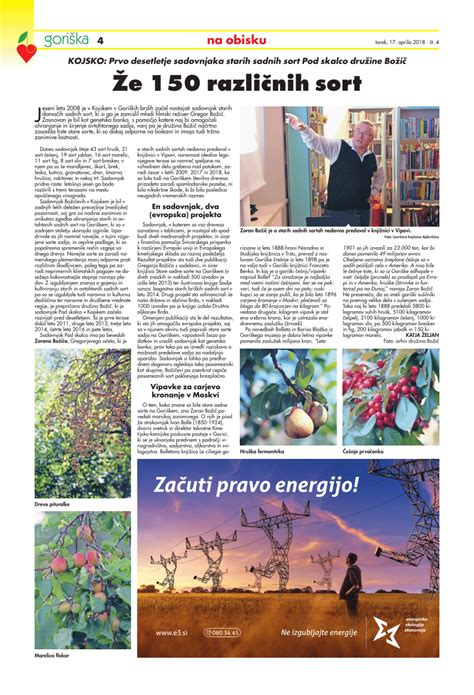 Ilustracija zrn čičerike različnih sort