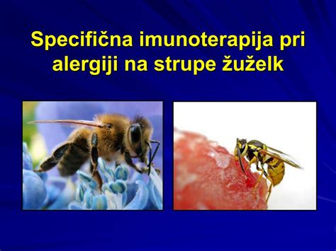 shema imunskega odziva pri alergiji na jajca