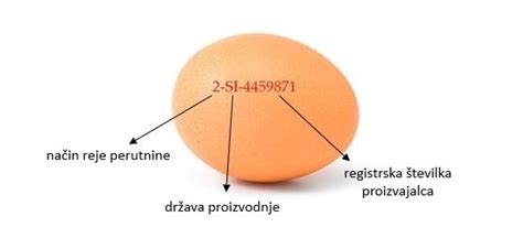 primer označevanja jajc s kodo reje, države in proizvajalca
