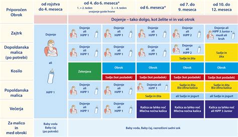 infografika s časovnico uvajanja goste hrane od 4. do 12. meseca