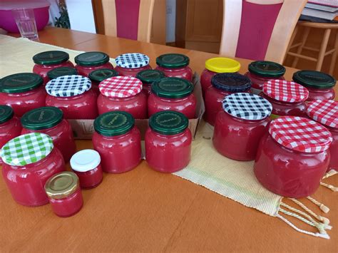 Sterilizirani kozarci, napolnjeni z vročo paradižnikovo mezgo, pripravljeni za zapiranje.