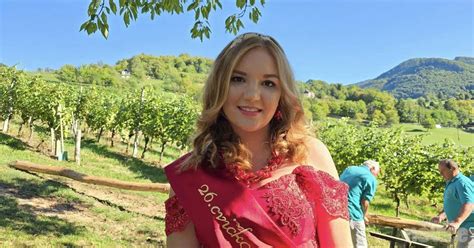 Fotografija prleškega klopotca v vinogradu
