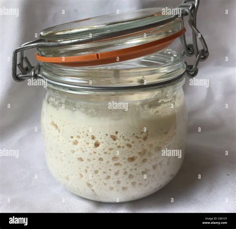 Sourdough starter in a glass jar, bubbling