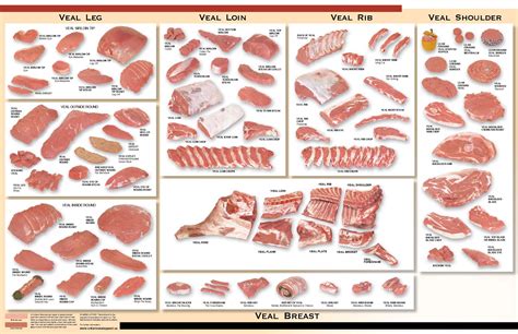 Photo showing different cuts of veal, highlighting neck and shoulder