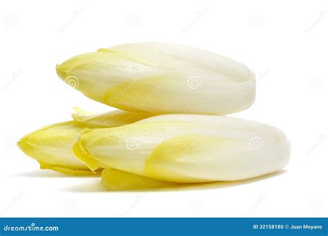 Thematic photo of fresh endive leaves in a garden