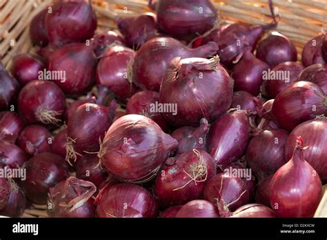 Thematic photo of various types of onions in a basket