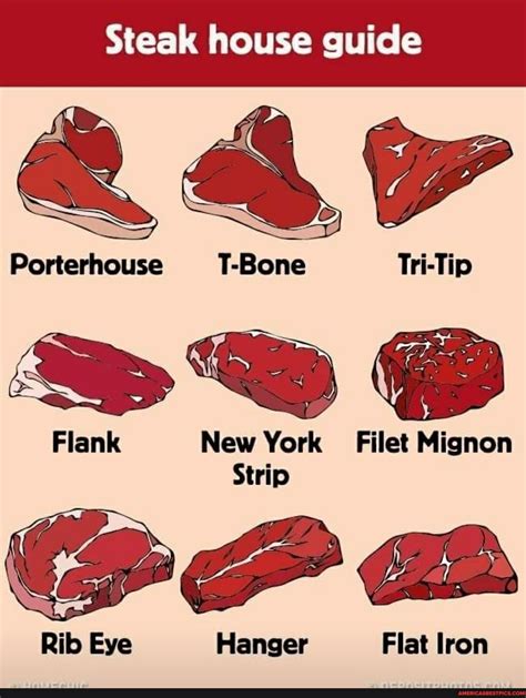 Različni kosi govejega mesa za pripravo steaka (rib-eye, filet mignon, new york strip, t-bone)