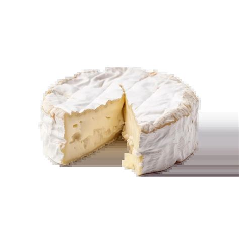 Karta porekla znamenitih evropskih sirov (parmezan, kamamber, ementalec, gavda)