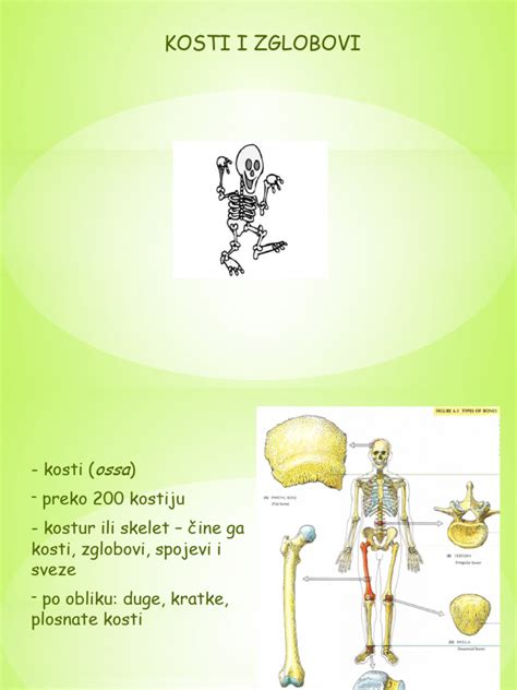 Infografika: Prikaz sestavin kostne juhe (kosti, vezivna tkiva, voda, kis) in ključnih hranil (kolagen, želatina, minerali)