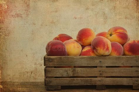 Thematic photo of fresh vineyard peaches in a rustic basket