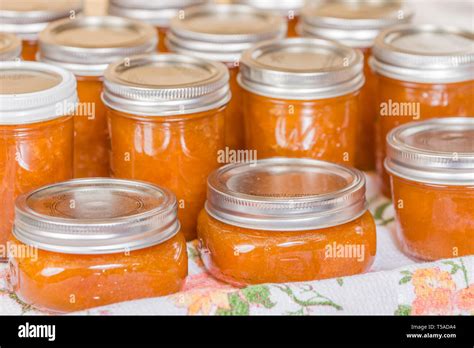 Photo of freshly filled and sealed jam jars, possibly cooling wrapped in cloth