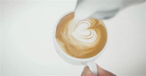 galerija slik različnih latte art motivov (srce, list, labod)