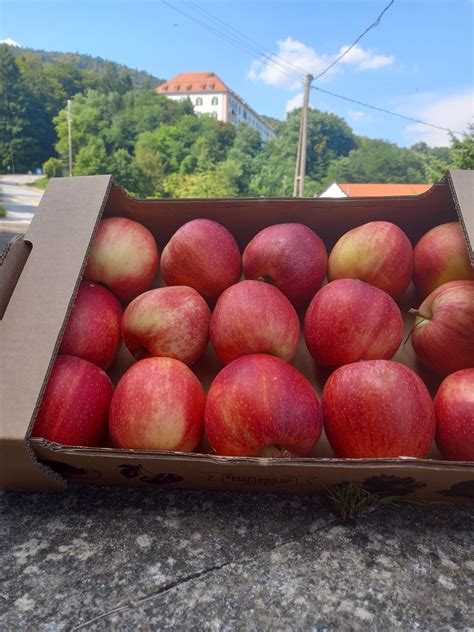 Sveža jabolka in začimbe za nadev