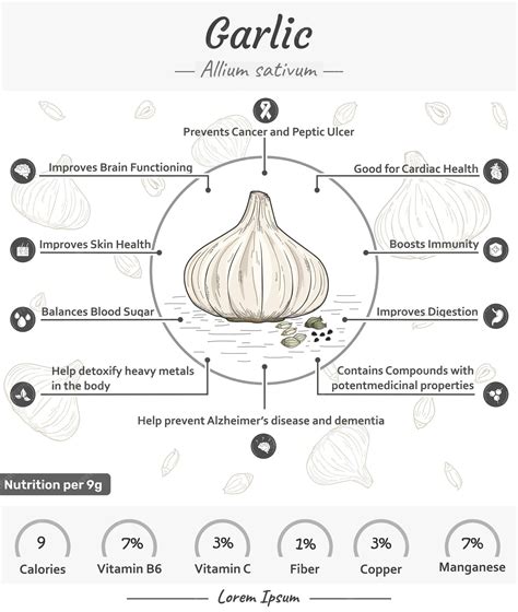 Infographic showing the health benefits of garlic on different body systems (heart, digestion, immunity, respiratory).
