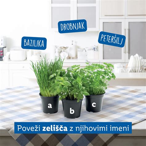 Fotografija različnih kremnih juh v skledicah s svežimi zelišči