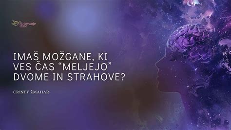 Prikaz orehovega jedra, ki simbolizira možgane