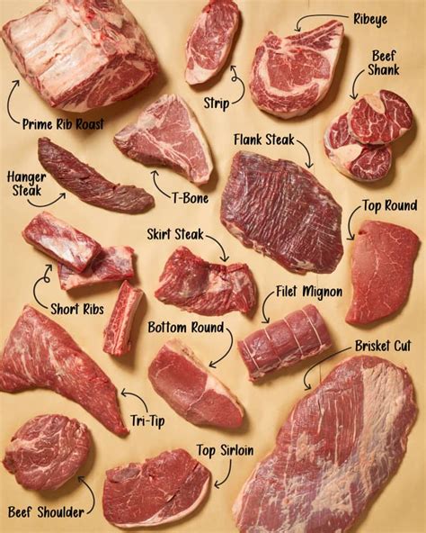 Infographics on different types of beef suitable for soup