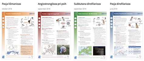 Informativna grafika s prikazom različnih vrst žgancev in njihovega porekla