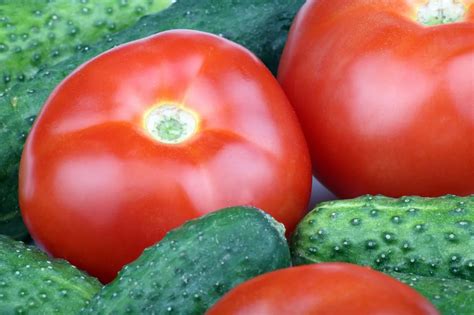 Zrelo sezonsko zelenjavo, kot so paradižniki, kumare, paprika in čebula, pripravljeno za grško solato.