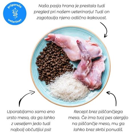 Infografika z nasveti za pripravo Piščančjega žura (npr. o izbiri smetane, predpekanju mesa in prilogah)
