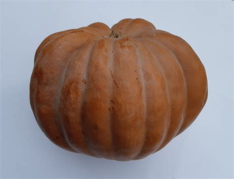 Pečena muškatna buča, pripravljena za pripravo juhe.