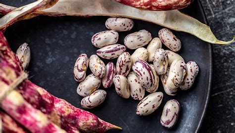 Prikaz različnih vrst fižola (češnjevec, beli fižol, fižol lišček) in čebule (rdeča, rumena).