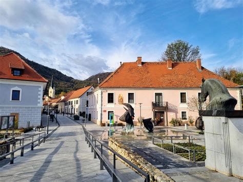 Tematska fotografija rožičevca in rožičevih strokov