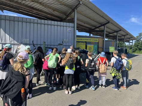 Ilustracija ozkolistnega trpotca s poudarkom na suličastih listih in socvetju