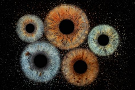 fotografija indijskih čapatijev