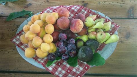 sezonsko sadje, vključno z jabolki v košari