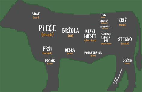 Ilustracija štirih predelov govejega vampa z opisom.