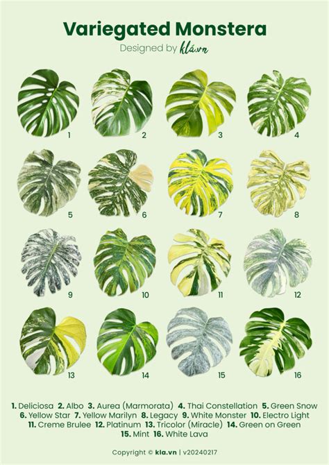Ilustracija Posestva Monstera (podeželska idila, ogenj, narava)