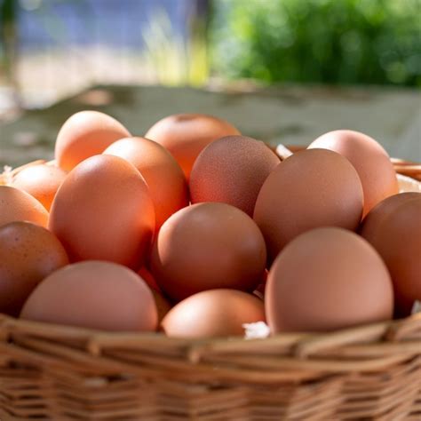 Infografika: Pregled veganskih nadomestkov za jajca, maslo, mleko in smetano pri peki