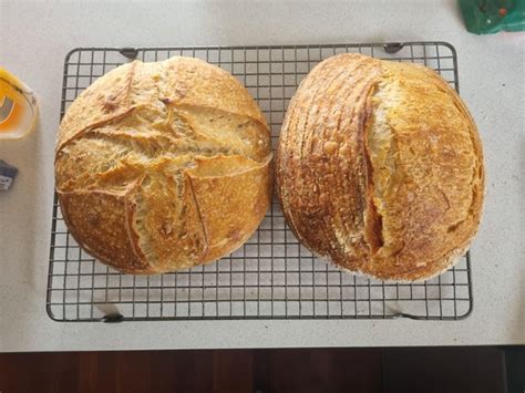 Slikovni prikaz oblikovanja hlebca (boule) in ovalne štruce (batard)