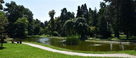 Fotografija prvega slovenskega predsednika Milana Kučana, ki gleda veliko pico na mizi v gostilni Julči