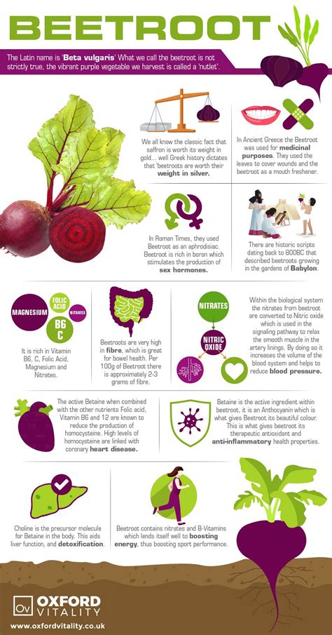 Infographic showing the nutritional content of beetroot leaves