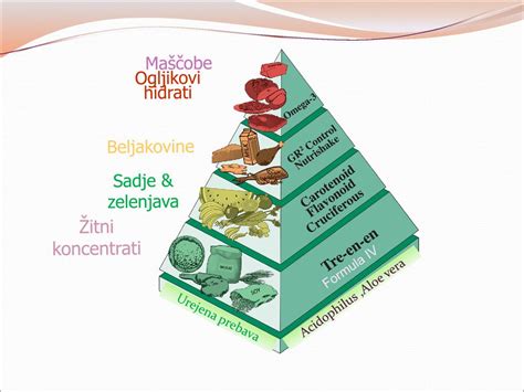 infografika s prikazom sestavin klasičnega krofa (maščobe, ogljikovi hidrati, sladkor)