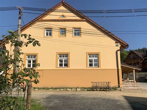 Tematska fotografija različnih pic, vključno s pohorsko pico