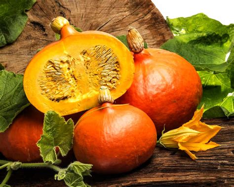 Ilustracija hokaido buče