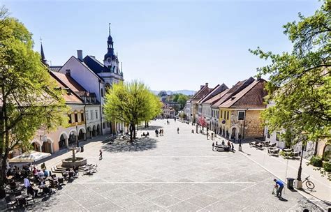 Infografika z območji dostave in minimalnimi zneski naročila za Novo Mesto
