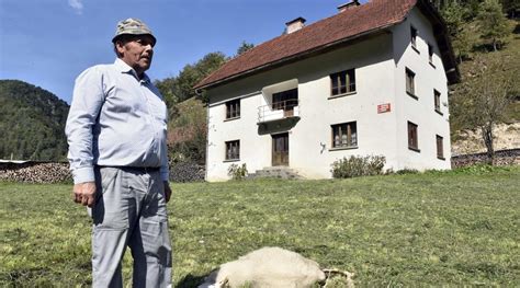 fotografija nojev na prostornem pašniku
