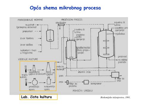 shema procesa alkoholnega vrenja v telesu po zaužitju določene hrane