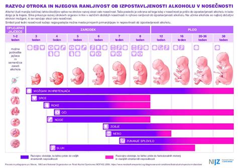 Shema nevarnosti uživanja živil med nosečnostjo, ki prikazuje toksoplazmozo, listerijo in salmonelo ter živila povezana s temi tveganji.