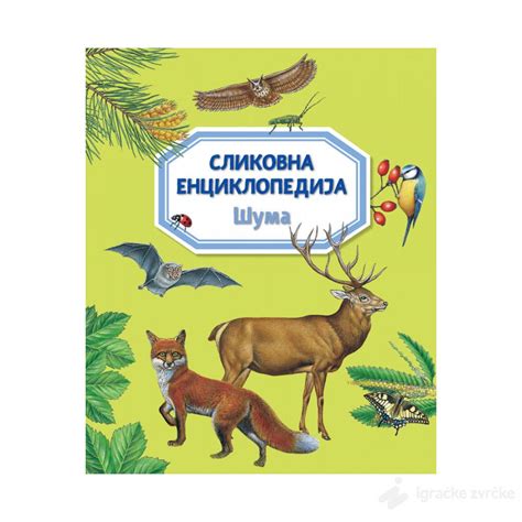Slikovna primerjava šalotke in čebule