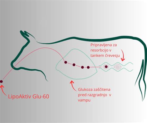 Diagram, ki ilustrira vpliv vsebnosti maščobe in pravilnega mešanja na kremastost sladoleda