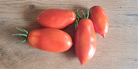 fotografija ključnih sestavin za pico (San Marzano paradižniki, mocarela fior di latte, bazilika)